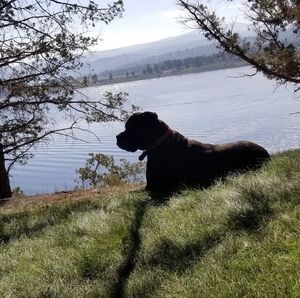 Meet your Posher, Loren